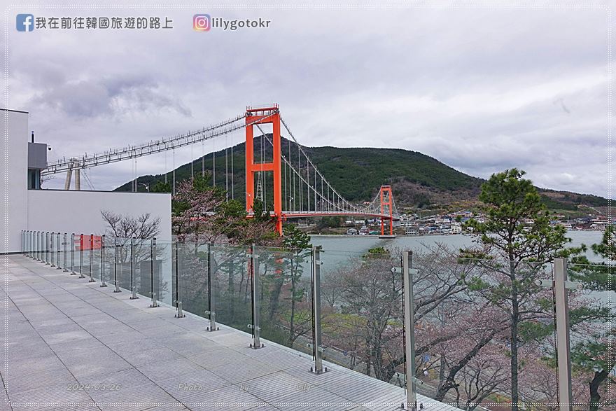 63)慶尚南道．南海｜王池櫻花路(왕지벚꽃길)絕美海景櫻花路，眺望南海大橋 @我在前往韓國旅遊的路上