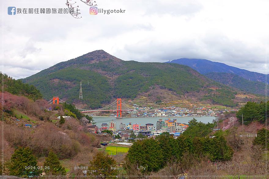63)慶尚南道．南海｜王池櫻花路(왕지벚꽃길)絕美海景櫻花路，眺望南海大橋 @我在前往韓國旅遊的路上