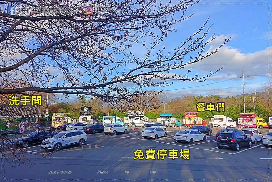 63)慶尚南道.泗川|泗川八景之「船津里城櫻花」觸手可及的櫻花和城牆是熱門打卡點 @我在前往韓國旅遊的路上 63)慶尚南道.泗川|泗川八景之「船津里城櫻花」觸手可及的櫻花和城牆是熱門打卡點 @我在前往韓國旅遊的路上