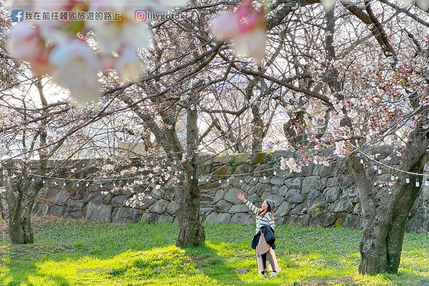 63)慶尚南道．泗川｜泗川八景之「船津里城櫻花」觸手可及的櫻花和城牆是熱門打卡點 @我在前往韓國旅遊的路上