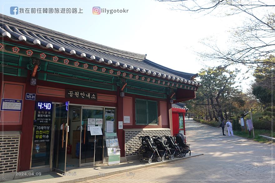 63)仁川賞櫻|到「月尾公園、月尾主題公園」海景櫻花、海鷗夕陽一次收 @我在前往韓國旅遊的路上 63)仁川賞櫻|到「月尾公園、月尾主題公園」海景櫻花、海鷗夕陽一次收 @我在前往韓國旅遊的路上