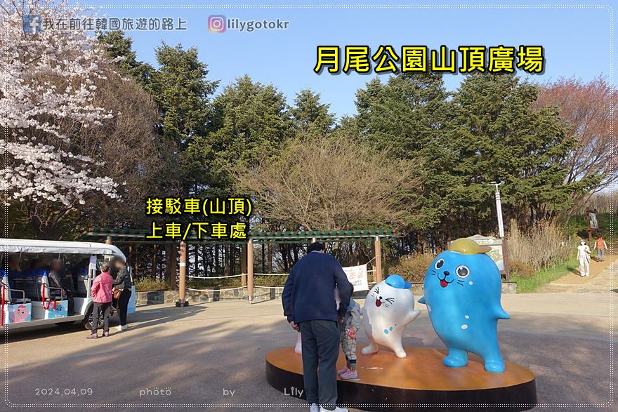 63)仁川賞櫻｜到「月尾公園、月尾主題公園」海景櫻花、海鷗夕陽一次收 @我在前往韓國旅遊的路上