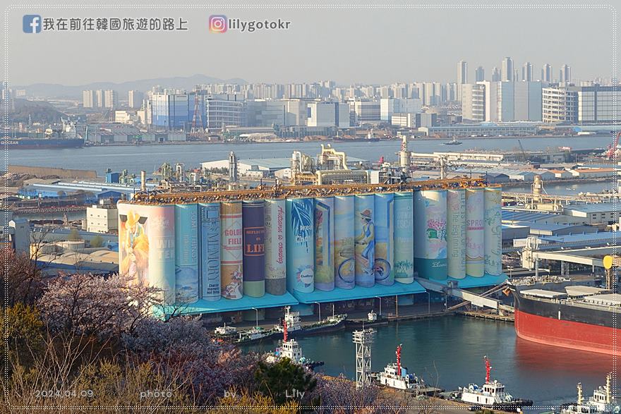63)仁川賞櫻｜到「月尾公園、月尾主題公園」海景櫻花、海鷗夕陽一次收 @我在前往韓國旅遊的路上