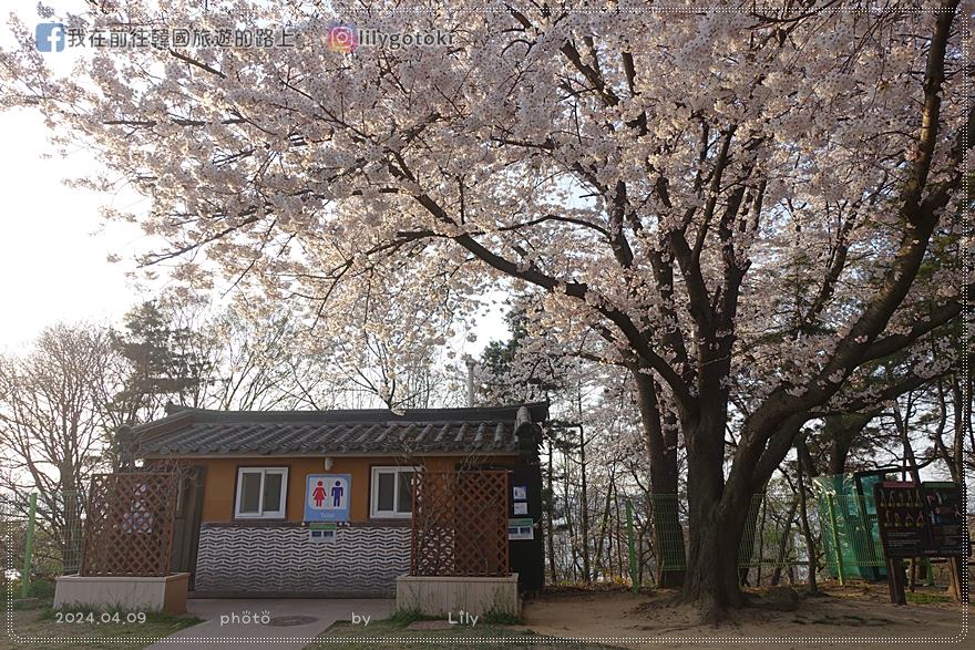 63)仁川賞櫻|到「月尾公園、月尾主題公園」海景櫻花、海鷗夕陽一次收 @我在前往韓國旅遊的路上 63)仁川賞櫻|到「月尾公園、月尾主題公園」海景櫻花、海鷗夕陽一次收 @我在前往韓國旅遊的路上