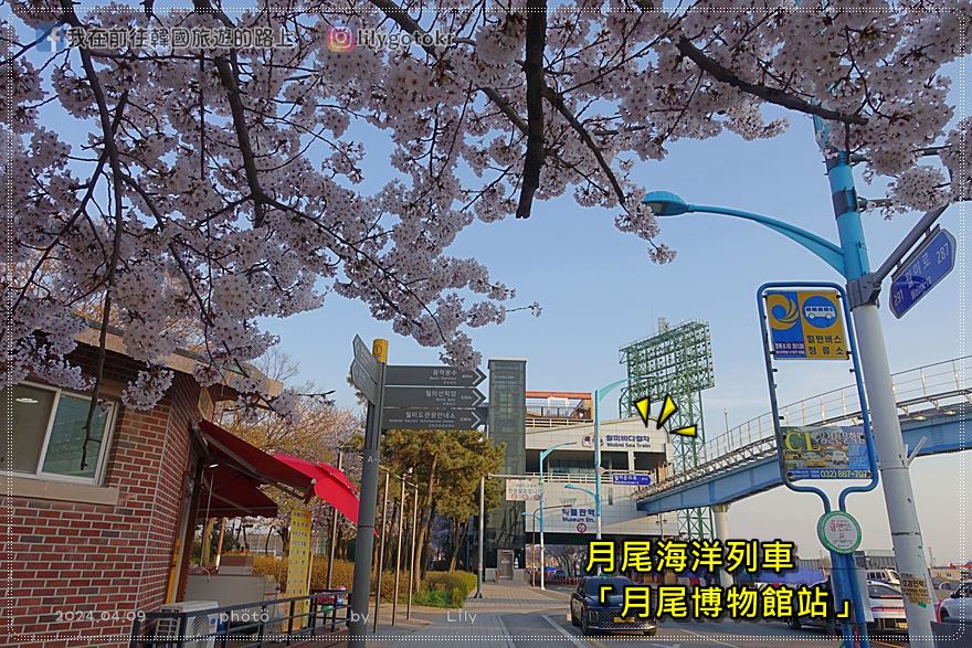 63)仁川賞櫻|到「月尾公園、月尾主題公園」海景櫻花、海鷗夕陽一次收 @我在前往韓國旅遊的路上 63)仁川賞櫻|到「月尾公園、月尾主題公園」海景櫻花、海鷗夕陽一次收 @我在前往韓國旅遊的路上