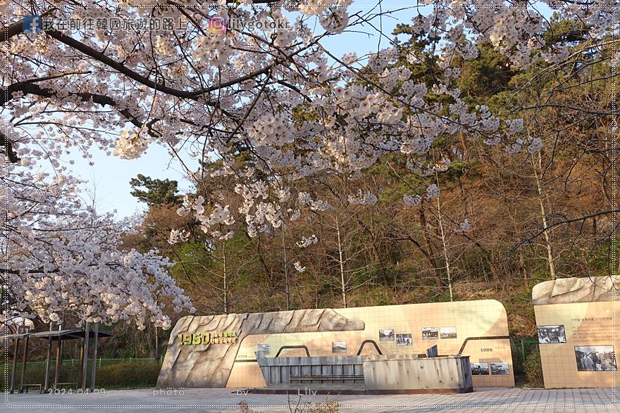 63)仁川賞櫻|到「月尾公園、月尾主題公園」海景櫻花、海鷗夕陽一次收 @我在前往韓國旅遊的路上 63)仁川賞櫻|到「月尾公園、月尾主題公園」海景櫻花、海鷗夕陽一次收 @我在前往韓國旅遊的路上