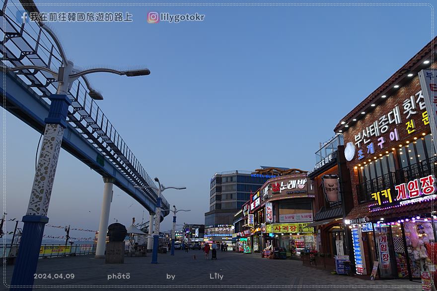 63)仁川賞櫻｜到「月尾公園、月尾主題公園」海景櫻花、海鷗夕陽一次收 @我在前往韓國旅遊的路上