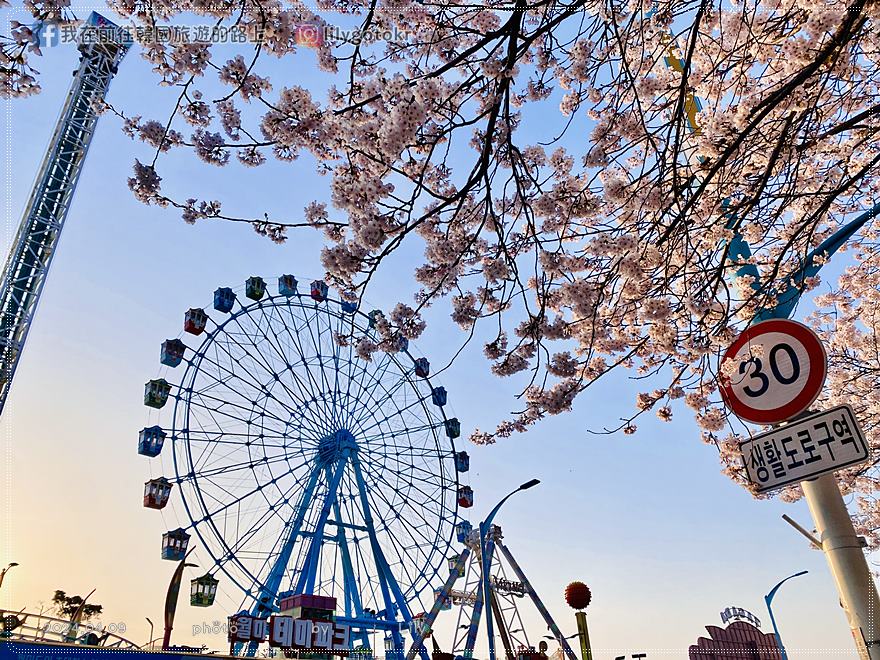 63)仁川賞櫻|到「月尾公園、月尾主題公園」海景櫻花、海鷗夕陽一次收 @我在前往韓國旅遊的路上 63)仁川賞櫻|到「月尾公園、月尾主題公園」海景櫻花、海鷗夕陽一次收 @我在前往韓國旅遊的路上