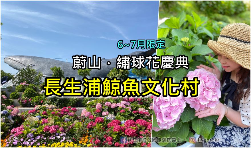 57)慶尚北道．慶州｜日夜櫻都美翻的興武路櫻花路(흥무로벚꽃길)，鄰近慶州市外巴士站 @我在前往韓國旅遊的路上