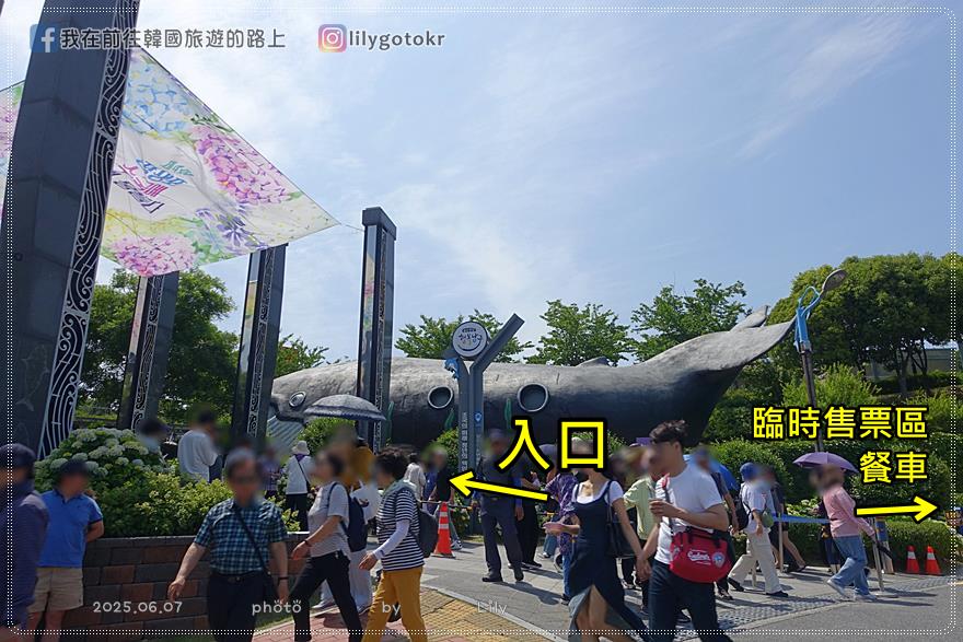 68)蔚山｜長生浦鯨魚文化村6-7月限定長生浦繡球花慶典 @我在前往韓國旅遊的路上