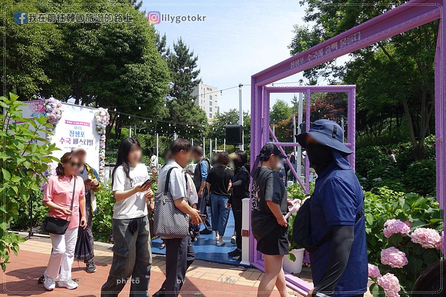 68)蔚山｜長生浦鯨魚文化村6-7月限定長生浦繡球花慶典 @我在前往韓國旅遊的路上