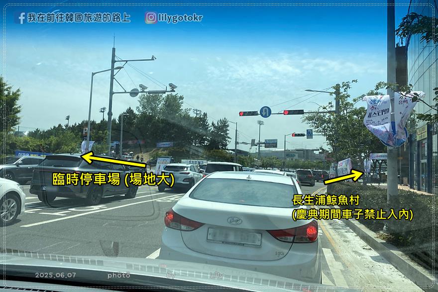 68)蔚山｜長生浦鯨魚文化村6-7月限定長生浦繡球花慶典 @我在前往韓國旅遊的路上