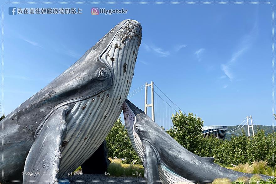 68)蔚山｜長生浦鯨魚文化村6-7月限定長生浦繡球花慶典 @我在前往韓國旅遊的路上