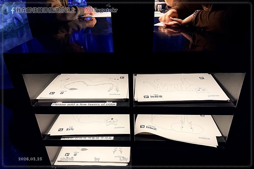 釜山景點推薦｜Arte Museum光影沉浸藝術超好拍！釜山通行證VBP免費入場 @我在前往韓國旅遊的路上