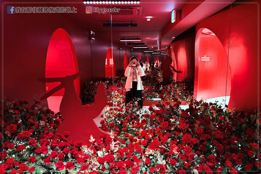 71)釜山．土城站｜甘川洞文化村2026新景點「小王子博物館」，頂樓可眺望整個甘川洞 @我在前往韓國旅遊的路上