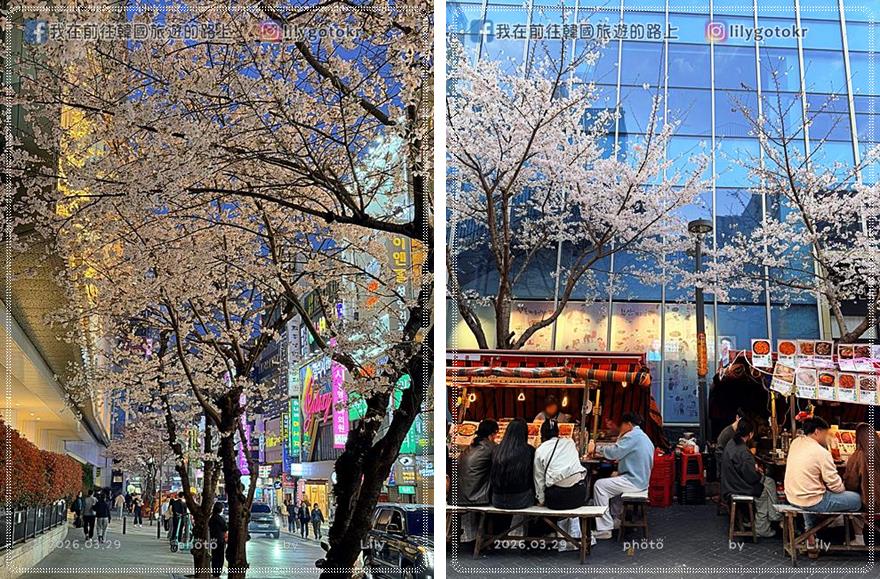 71)釜山住宿．西面站｜西面YTT飯店，有電子衣櫥.電梯.早餐，位於西面樂天櫻花街,egg drop @我在前往韓國旅遊的路上