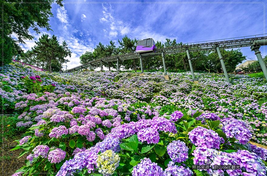 【蔚山景點】6-7月限定繡球花｜長生浦鯨魚文化村，夢幻花海與鯨魚主題一次滿足 @我在前往韓國旅遊的路上