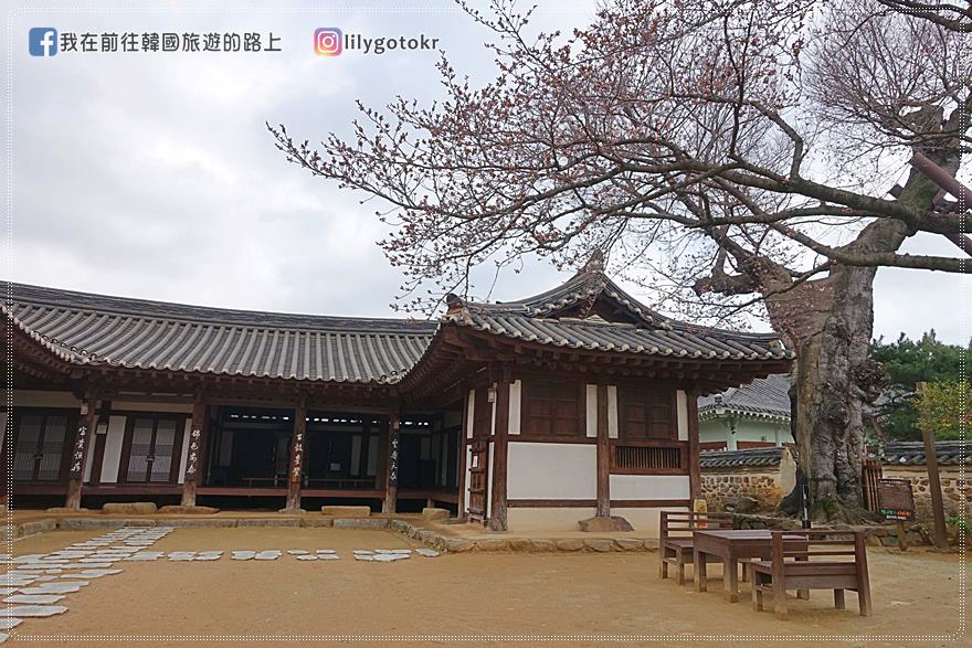 【全羅南道．羅州景點】羅州賞櫻銀杏推薦景點：羅州鄉校、錦城館、羅州牧使內衙 @我在前往韓國旅遊的路上
