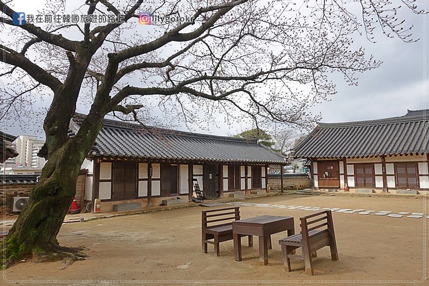 【全羅南道．羅州景點】羅州賞櫻銀杏推薦景點：羅州鄉校、錦城館、羅州牧使內衙 @我在前往韓國旅遊的路上