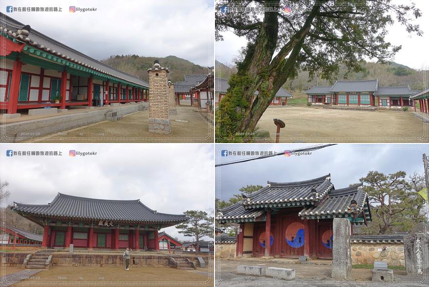 【全羅南道．羅州景點】羅州賞櫻銀杏推薦景點：羅州鄉校、錦城館、羅州牧使內衙 @我在前往韓國旅遊的路上