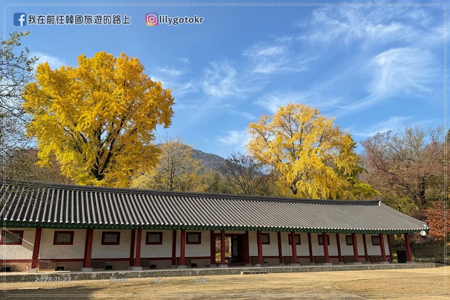 【全羅南道．羅州景點】羅州賞櫻銀杏推薦景點：羅州鄉校、錦城館、羅州牧使內衙 @我在前往韓國旅遊的路上