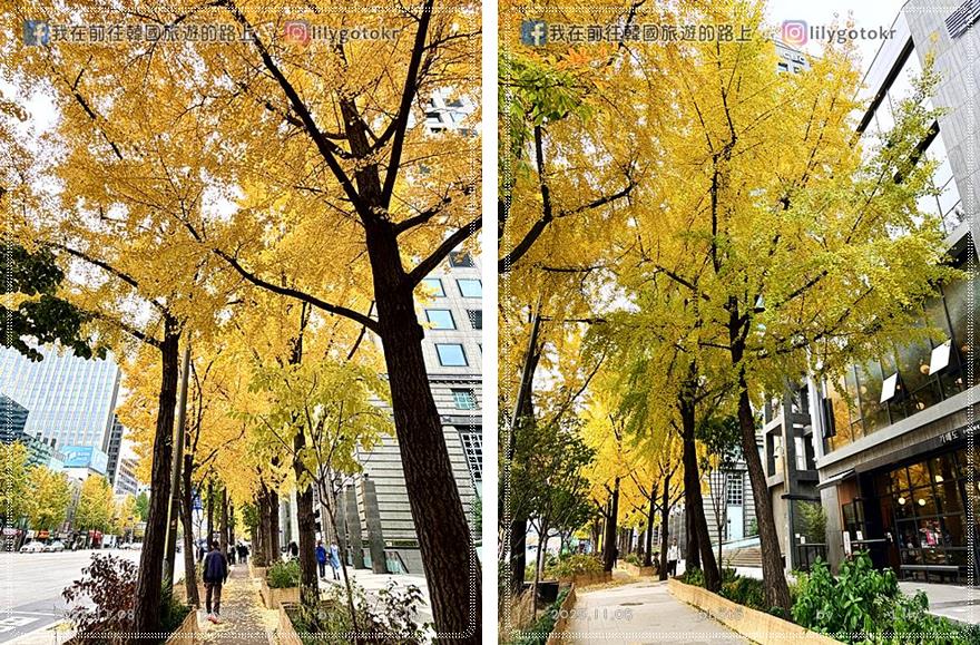 【首爾秋季】秋天賞楓必訪:德壽宮石牆路、貞洞路、隱藏版銀杏步道,超夯韓劇打卡點 @我在前往韓國旅遊的路上 【首爾秋季】秋天賞楓必訪:德壽宮石牆路、貞洞路、隱藏版銀杏步道,超夯韓劇打卡點 @我在前往韓國旅遊的路上