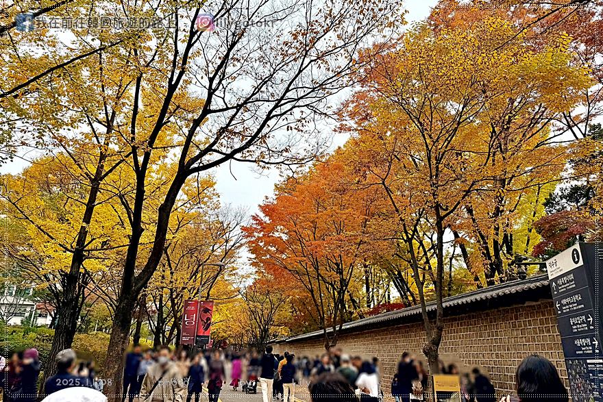 【首爾秋季】秋天賞楓必訪：德壽宮石牆路、貞洞路、隱藏版銀杏步道，超夯韓劇打卡點 @我在前往韓國旅遊的路上