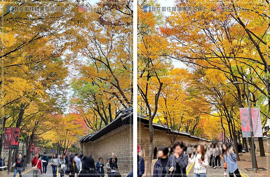 【首爾秋季】秋天賞楓必訪:德壽宮石牆路、貞洞路、隱藏版銀杏步道,超夯韓劇打卡點 @我在前往韓國旅遊的路上 【首爾秋季】秋天賞楓必訪:德壽宮石牆路、貞洞路、隱藏版銀杏步道,超夯韓劇打卡點 @我在前往韓國旅遊的路上