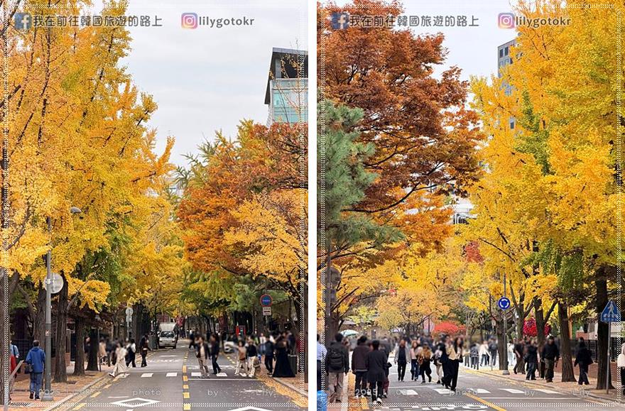 【首爾秋季】秋天賞楓必訪：德壽宮石牆路、貞洞路、隱藏版銀杏步道，超夯韓劇打卡點 @我在前往韓國旅遊的路上