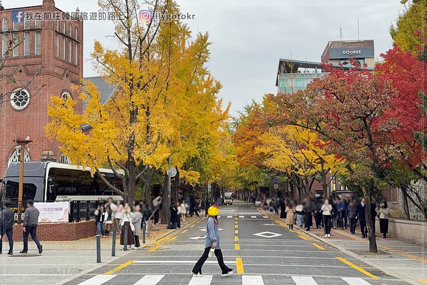 【首爾秋季】秋天賞楓必訪:德壽宮石牆路、貞洞路、隱藏版銀杏步道,超夯韓劇打卡點 @我在前往韓國旅遊的路上 【首爾秋季】秋天賞楓必訪:德壽宮石牆路、貞洞路、隱藏版銀杏步道,超夯韓劇打卡點 @我在前往韓國旅遊的路上