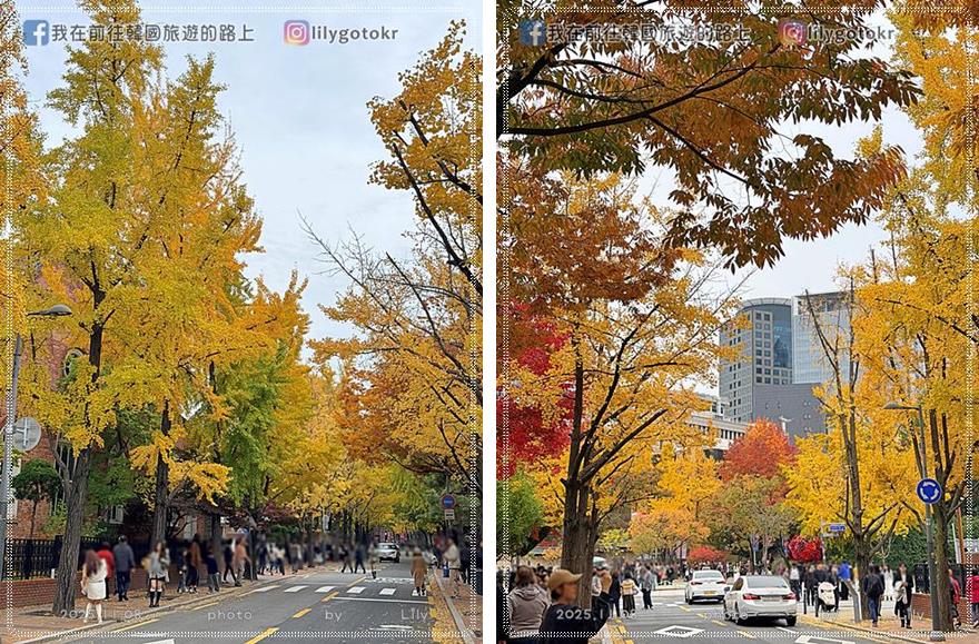 【首爾秋季】秋天賞楓必訪:德壽宮石牆路、貞洞路、隱藏版銀杏步道,超夯韓劇打卡點 @我在前往韓國旅遊的路上 【首爾秋季】秋天賞楓必訪:德壽宮石牆路、貞洞路、隱藏版銀杏步道,超夯韓劇打卡點 @我在前往韓國旅遊的路上