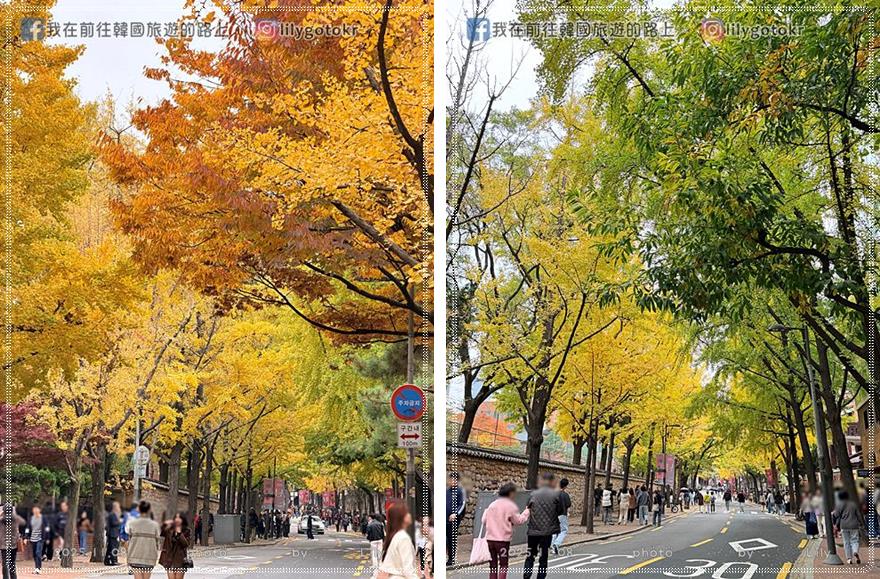 【首爾秋季】秋天賞楓必訪：德壽宮石牆路、貞洞路、隱藏版銀杏步道，超夯韓劇打卡點 @我在前往韓國旅遊的路上