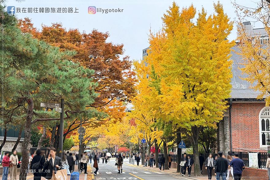 【首爾秋季】秋天賞楓必訪:德壽宮石牆路、貞洞路、隱藏版銀杏步道,超夯韓劇打卡點 @我在前往韓國旅遊的路上 【首爾秋季】秋天賞楓必訪:德壽宮石牆路、貞洞路、隱藏版銀杏步道,超夯韓劇打卡點 @我在前往韓國旅遊的路上