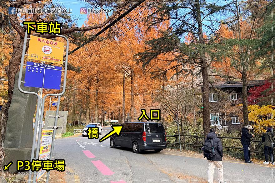 【大田景點】秋季落羽松秘境推薦:長泰山自然休養林(壯泰山),含交通攻略 @我在前往韓國旅遊的路上 【大田景點】秋季落羽松秘境推薦:長泰山自然休養林(壯泰山),含交通攻略 @我在前往韓國旅遊的路上