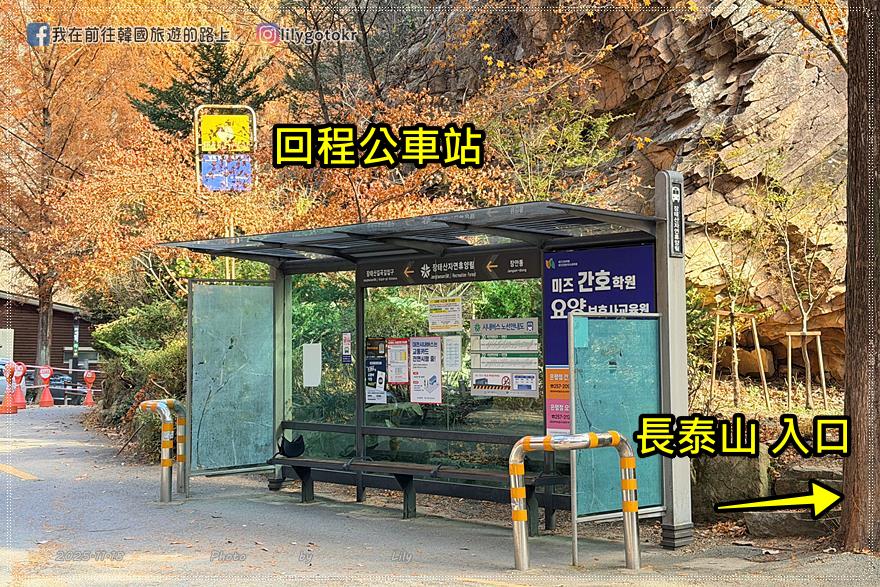 【大田景點】秋季落羽松秘境推薦:長泰山自然休養林(壯泰山),含交通攻略 @我在前往韓國旅遊的路上 【大田景點】秋季落羽松秘境推薦:長泰山自然休養林(壯泰山),含交通攻略 @我在前往韓國旅遊的路上