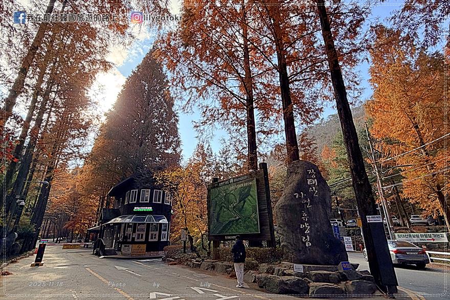 【大田景點】秋季落羽松秘境推薦:長泰山自然休養林(壯泰山),含交通攻略 @我在前往韓國旅遊的路上 【大田景點】秋季落羽松秘境推薦:長泰山自然休養林(壯泰山),含交通攻略 @我在前往韓國旅遊的路上