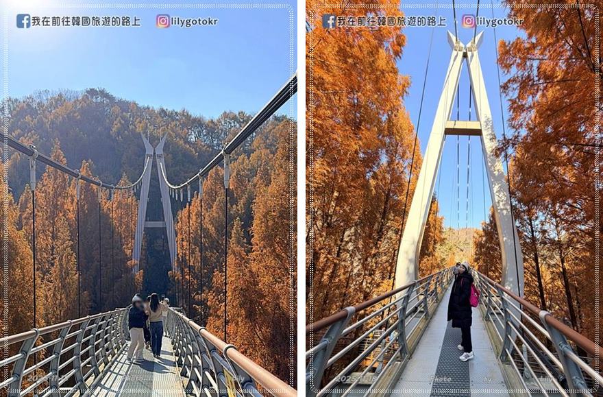 【大田景點】秋季落羽松秘境推薦:長泰山自然休養林(壯泰山),含交通攻略 @我在前往韓國旅遊的路上 【大田景點】秋季落羽松秘境推薦:長泰山自然休養林(壯泰山),含交通攻略 @我在前往韓國旅遊的路上