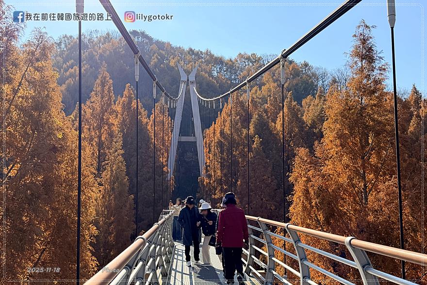【大田景點】秋季落羽松秘境推薦:長泰山自然休養林(壯泰山),含交通攻略 @我在前往韓國旅遊的路上 【大田景點】秋季落羽松秘境推薦:長泰山自然休養林(壯泰山),含交通攻略 @我在前往韓國旅遊的路上