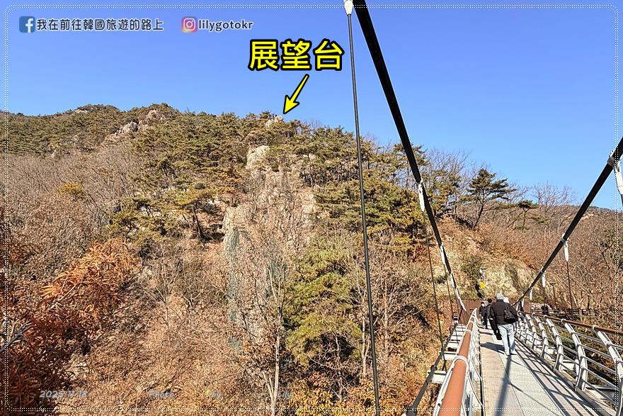 【大田景點】秋季落羽松秘境推薦：長泰山自然休養林(壯泰山)，含交通攻略 @我在前往韓國旅遊的路上