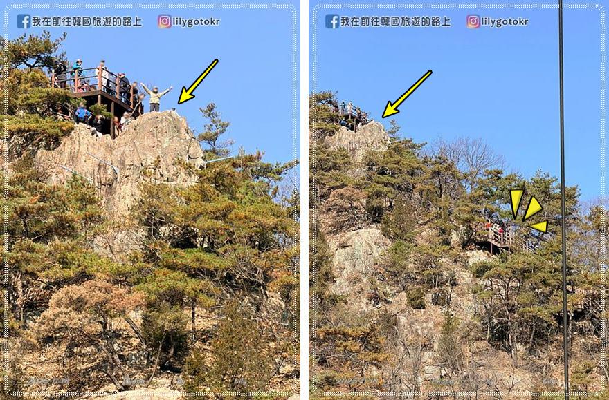 【大田景點】秋季落羽松秘境推薦:長泰山自然休養林(壯泰山),含交通攻略 @我在前往韓國旅遊的路上 【大田景點】秋季落羽松秘境推薦:長泰山自然休養林(壯泰山),含交通攻略 @我在前往韓國旅遊的路上