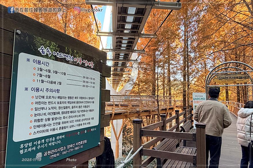 【大田景點】秋季落羽松秘境推薦:長泰山自然休養林(壯泰山),含交通攻略 @我在前往韓國旅遊的路上 【大田景點】秋季落羽松秘境推薦:長泰山自然休養林(壯泰山),含交通攻略 @我在前往韓國旅遊的路上