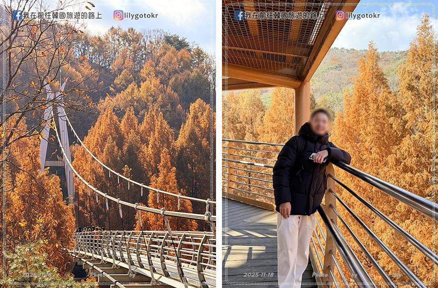 【大田景點】秋季落羽松秘境推薦:長泰山自然休養林(壯泰山),含交通攻略 @我在前往韓國旅遊的路上 【大田景點】秋季落羽松秘境推薦:長泰山自然休養林(壯泰山),含交通攻略 @我在前往韓國旅遊的路上