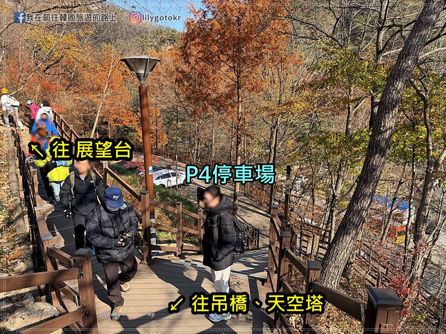【大田景點】秋季落羽松秘境推薦:長泰山自然休養林(壯泰山),含交通攻略 @我在前往韓國旅遊的路上 【大田景點】秋季落羽松秘境推薦:長泰山自然休養林(壯泰山),含交通攻略 @我在前往韓國旅遊的路上