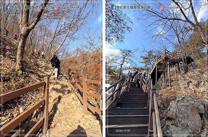 【大田景點】秋季落羽松秘境推薦：長泰山自然休養林(壯泰山)，含交通攻略 @我在前往韓國旅遊的路上