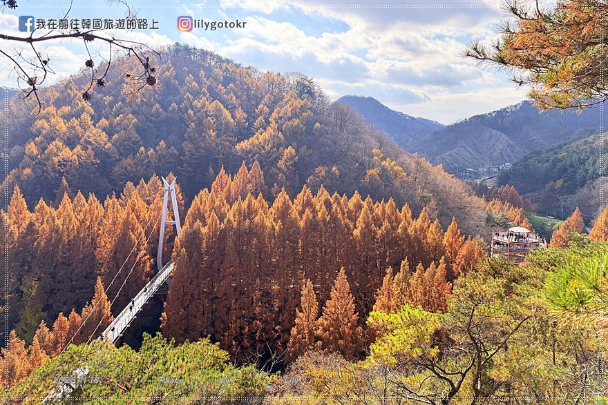 【大田景點】秋季落羽松秘境推薦:長泰山自然休養林(壯泰山),含交通攻略 @我在前往韓國旅遊的路上 【大田景點】秋季落羽松秘境推薦:長泰山自然休養林(壯泰山),含交通攻略 @我在前往韓國旅遊的路上