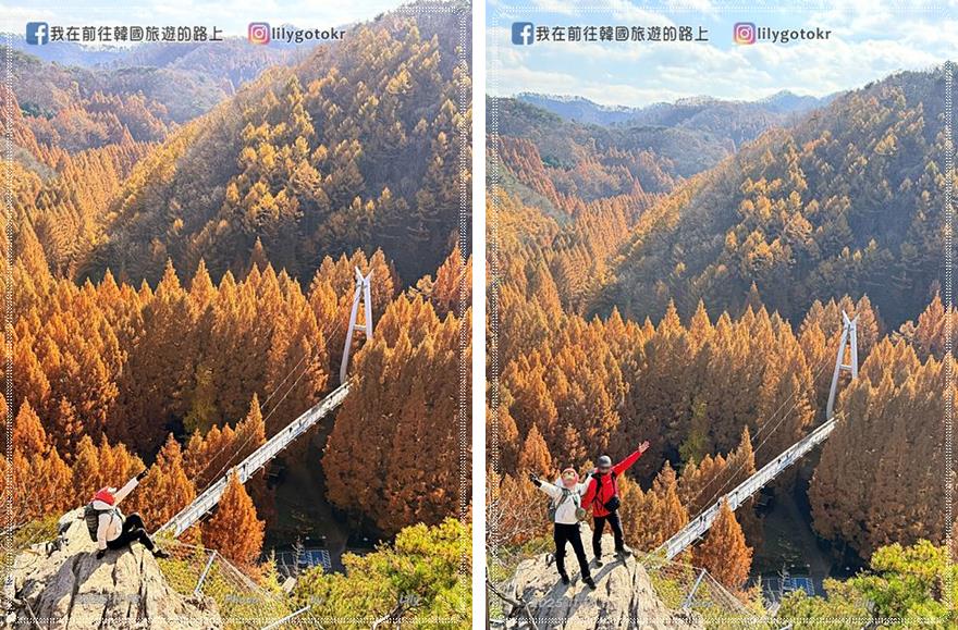【大田景點】秋季落羽松秘境推薦:長泰山自然休養林(壯泰山),含交通攻略 @我在前往韓國旅遊的路上 【大田景點】秋季落羽松秘境推薦:長泰山自然休養林(壯泰山),含交通攻略 @我在前往韓國旅遊的路上