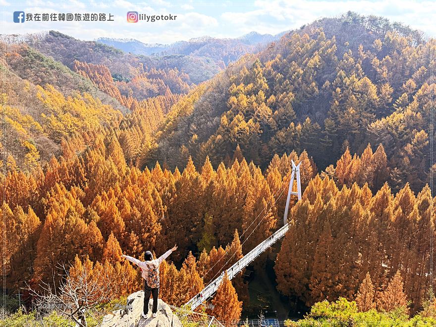 【大田景點】秋季落羽松秘境推薦:長泰山自然休養林(壯泰山),含交通攻略 @我在前往韓國旅遊的路上 【大田景點】秋季落羽松秘境推薦:長泰山自然休養林(壯泰山),含交通攻略 @我在前往韓國旅遊的路上