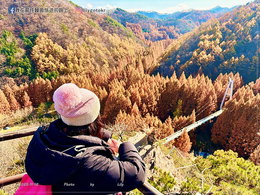 【大田景點】秋季落羽松秘境推薦:長泰山自然休養林(壯泰山),含交通攻略 @我在前往韓國旅遊的路上 【大田景點】秋季落羽松秘境推薦:長泰山自然休養林(壯泰山),含交通攻略 @我在前往韓國旅遊的路上