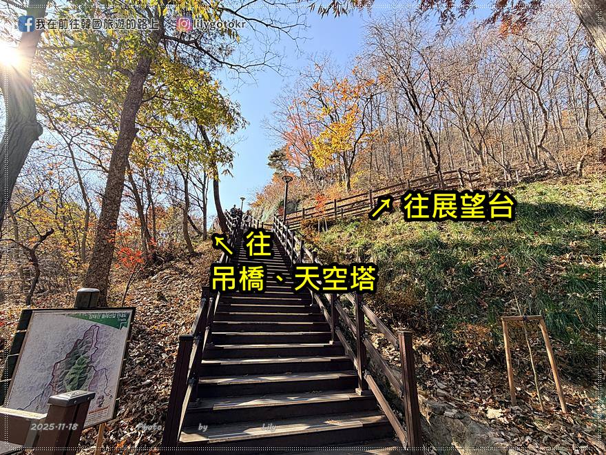 【大田景點】秋季落羽松秘境推薦:長泰山自然休養林(壯泰山),含交通攻略 @我在前往韓國旅遊的路上 【大田景點】秋季落羽松秘境推薦:長泰山自然休養林(壯泰山),含交通攻略 @我在前往韓國旅遊的路上
