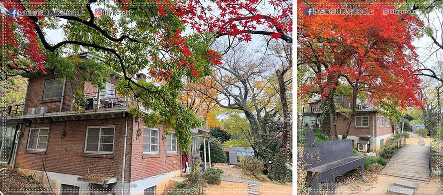 【光州景點】秋季秘境楊林洞冬青樹、禹一善傳教士私宅、카페1890，韓劇《我的女神室友斗娜》拍攝地 @我在前往韓國旅遊的路上